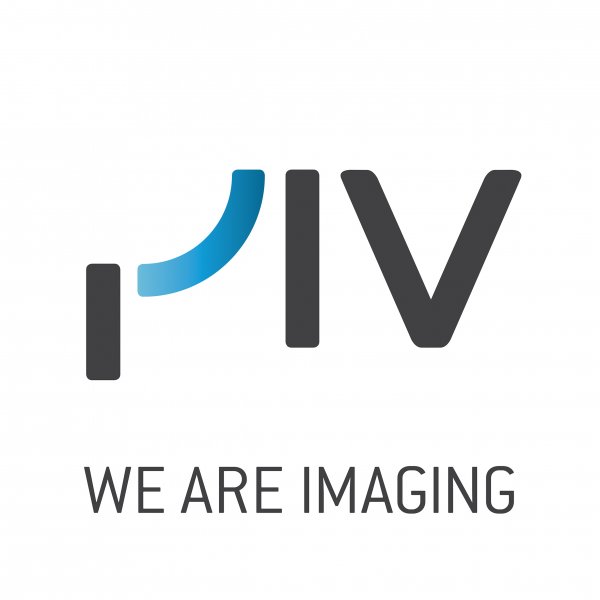 PIV Logo